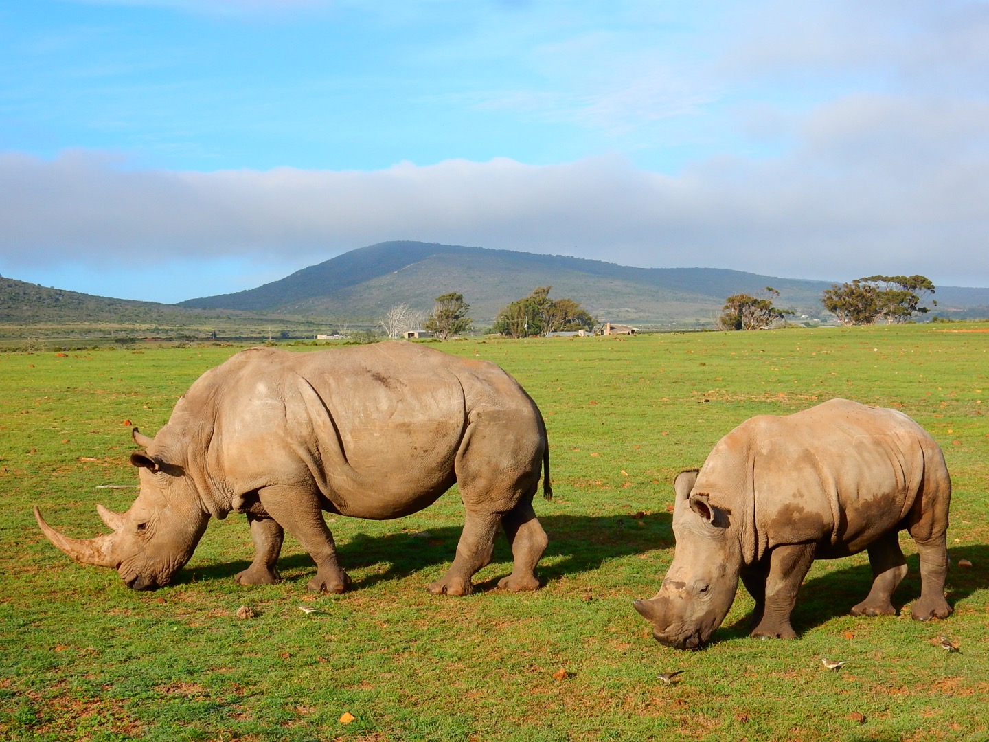 Garden Route Game Reserve