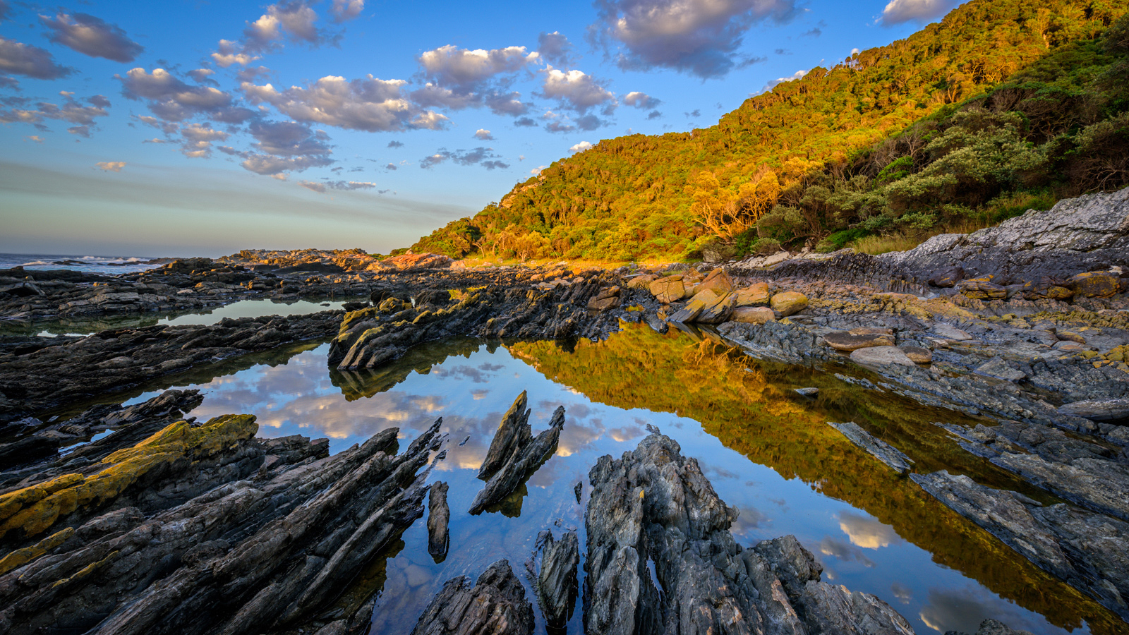 Garden Route National Park - Tsitsikamma Section