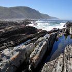 Garden Route - Tsitsikamma National Park 1