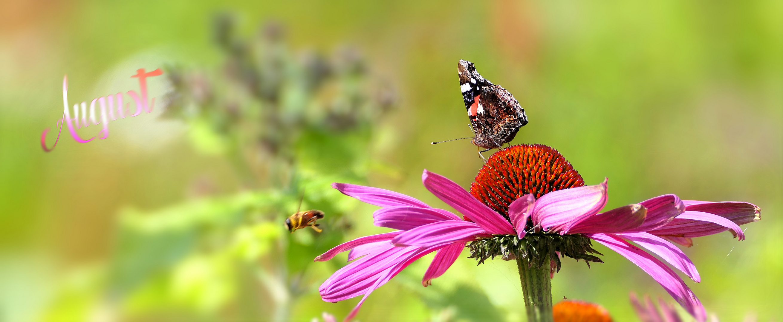 ... garden scene