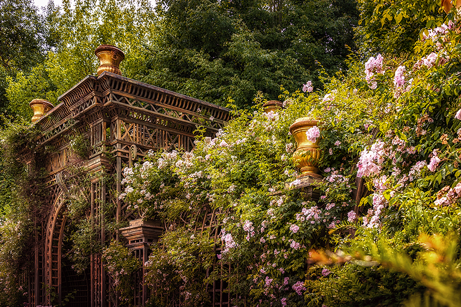 Garden Versailles