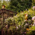 Garden Versailles