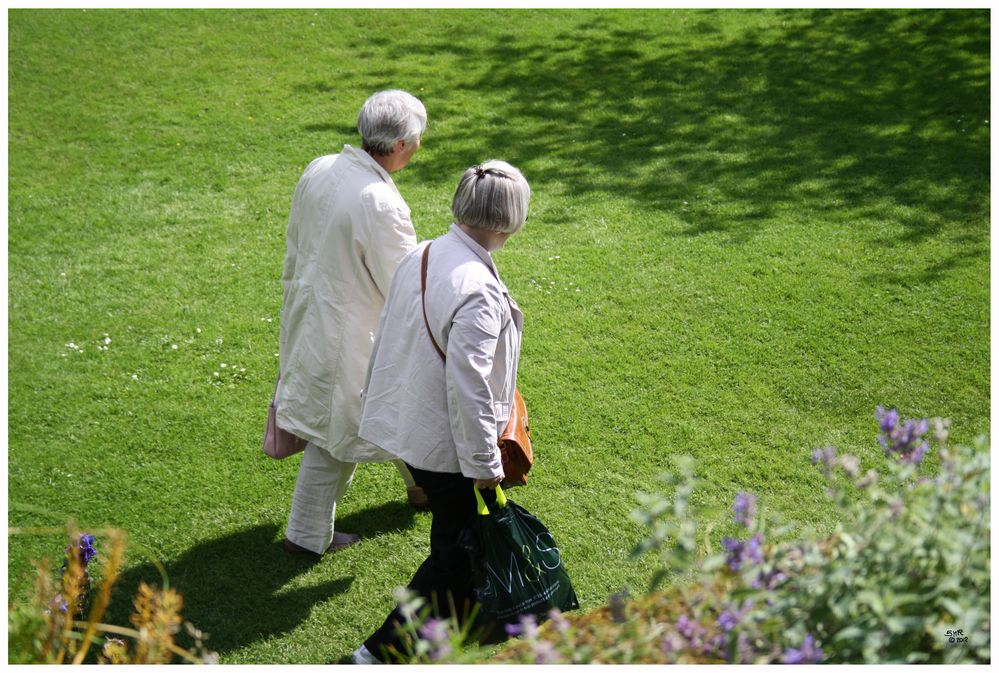 Garden visitors