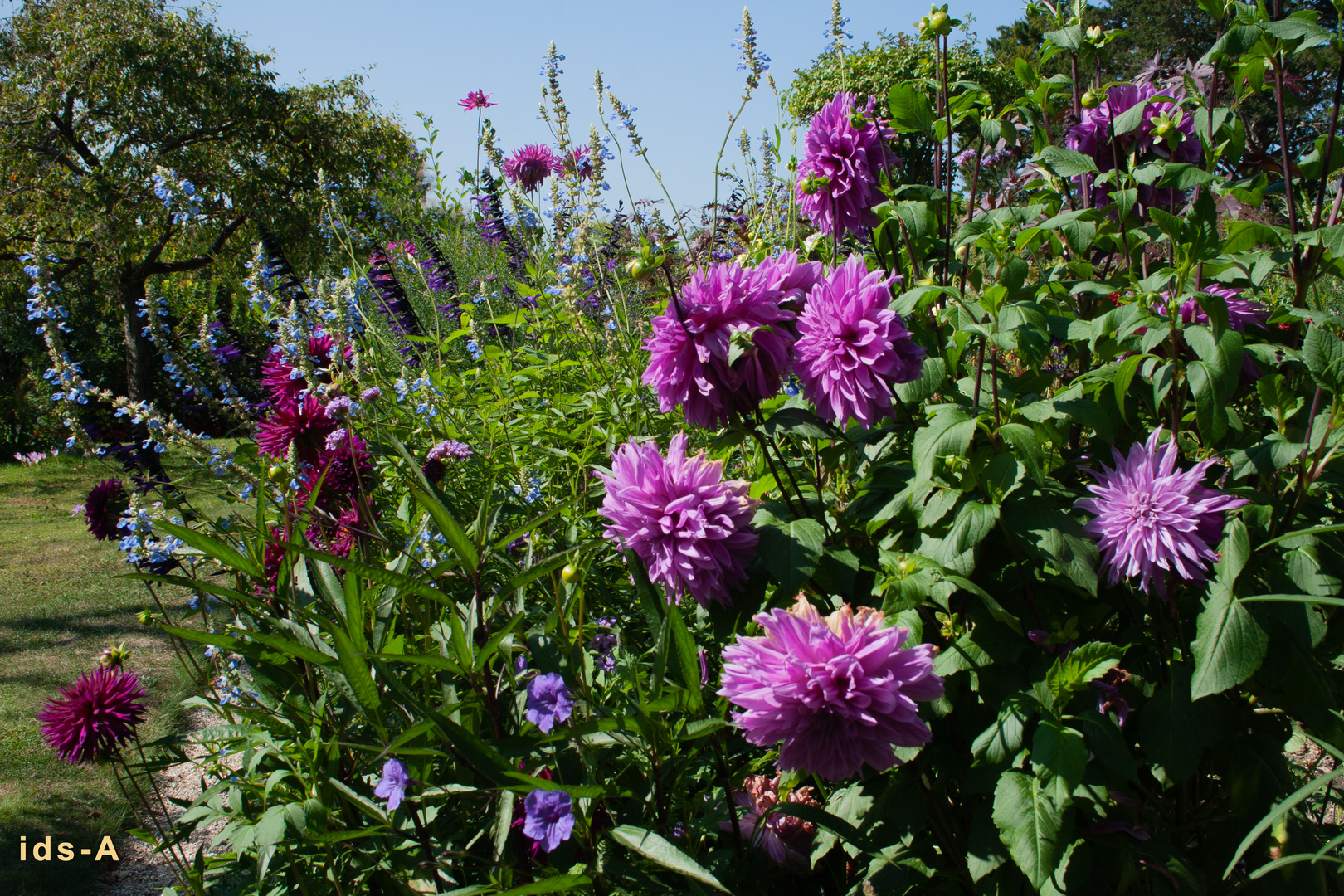 Garden von Claude Monet