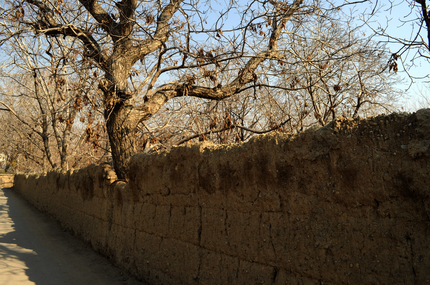 Garden Wall