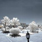 Gardenbeach [360° IR]