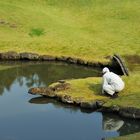 Gardener in Kamakura