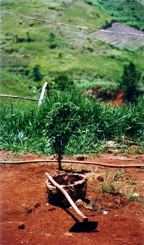 Gardener_on_break