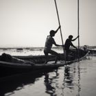 Gardeners of the Inle Lake