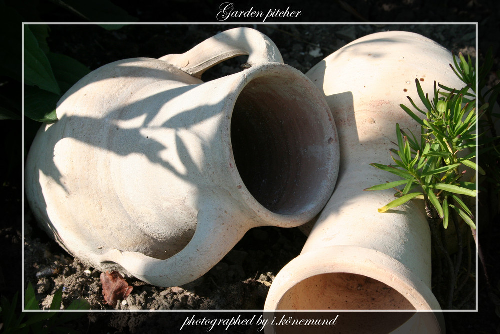 Gardenpitcher