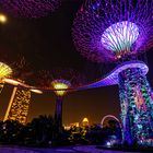 Gardens by the Bay 2