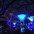 Gardens by the bay