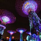 Gardens by the Bay 3