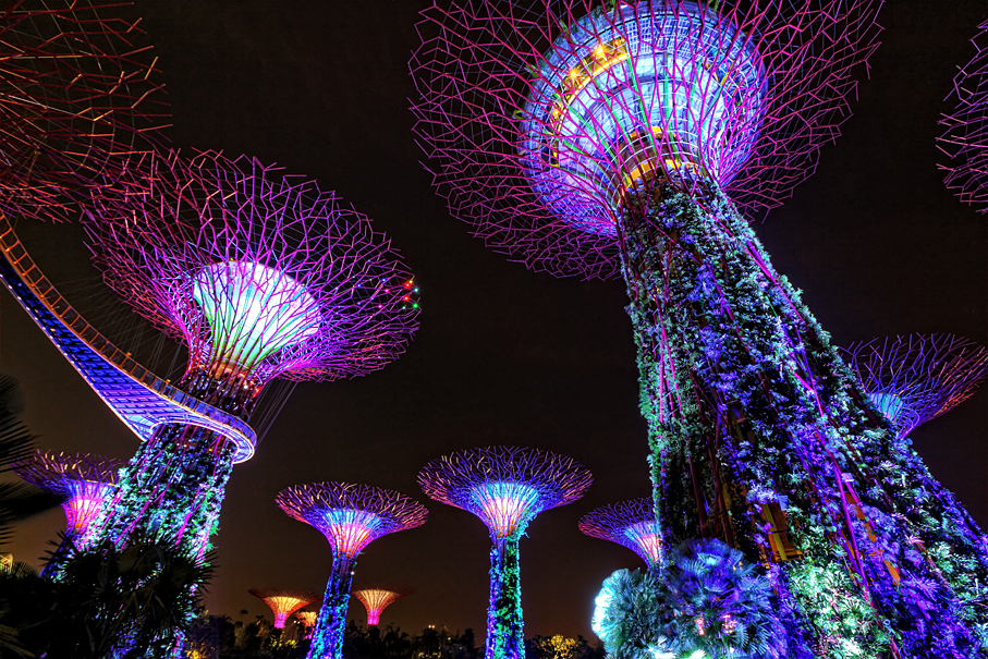 Gardens by the Bay 3