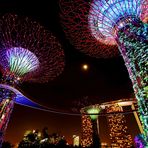 Gardens by the Bay