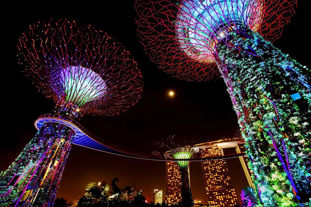 Gardens by the Bay