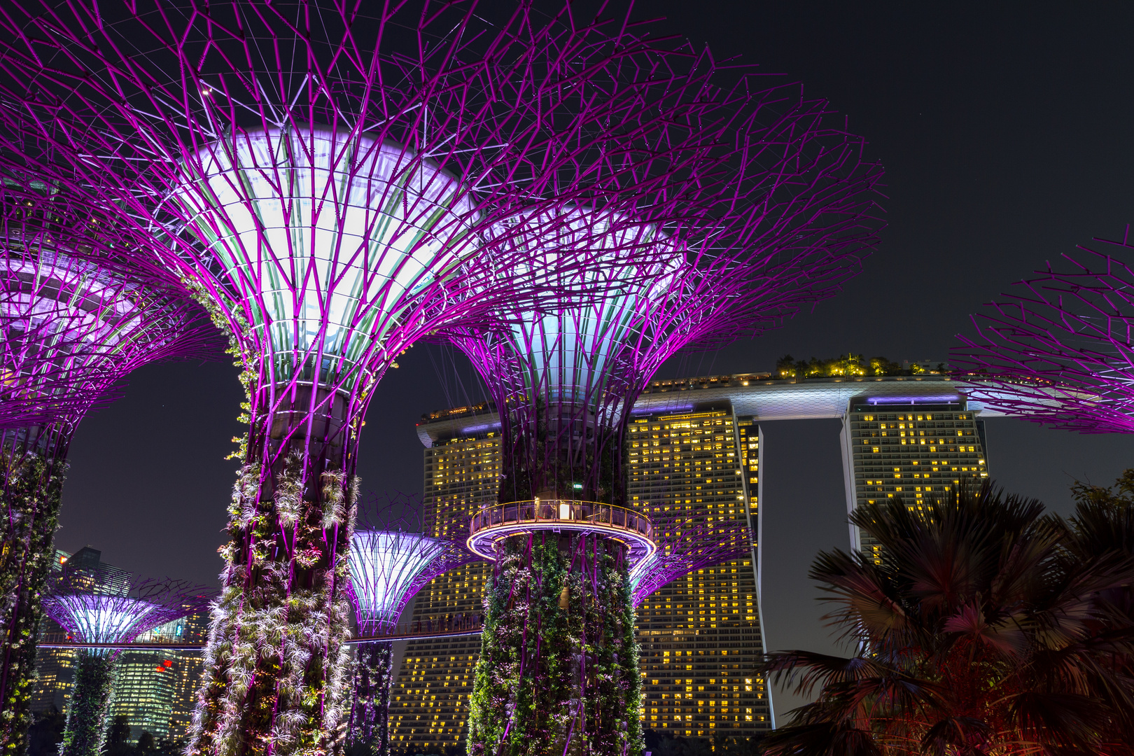 Gardens by the bay