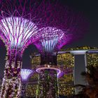 Gardens by the bay