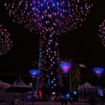 Gardens by the Bay 4