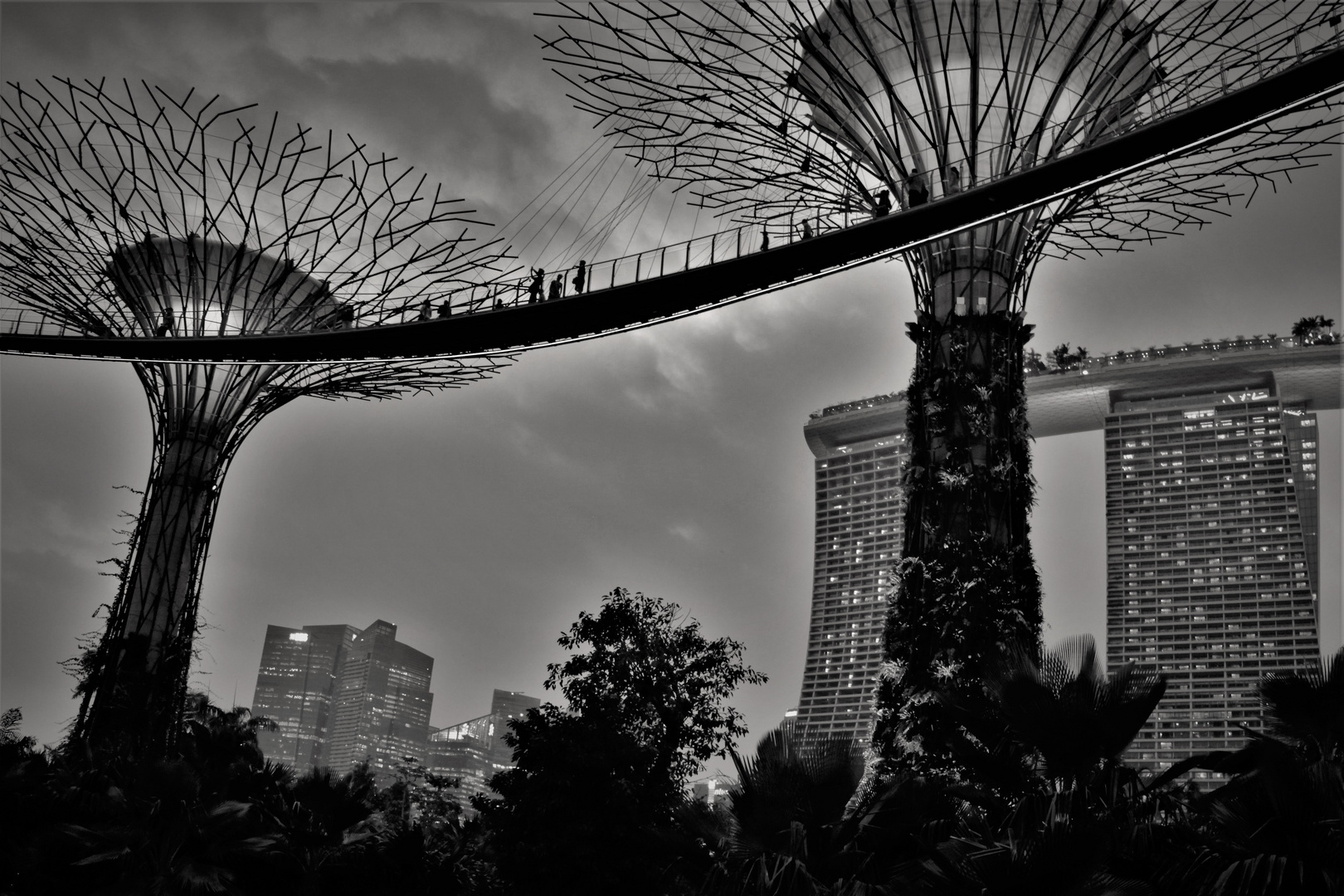 Gardens by the Bay 5