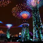 Gardens by the Bay 5