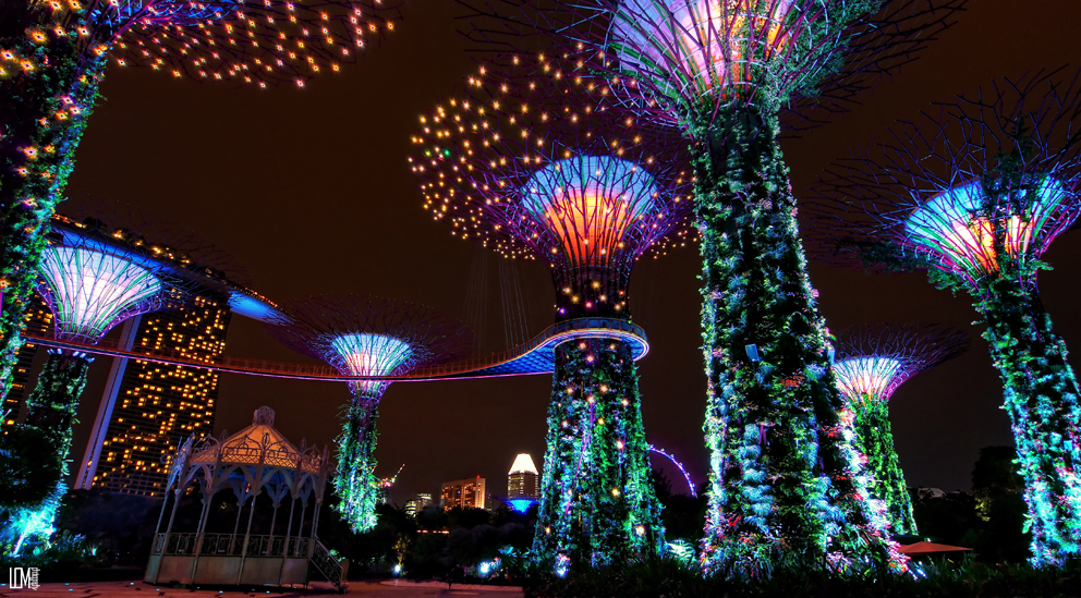 Gardens by the Bay 5