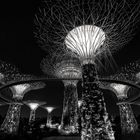 Gardens by the Bay 5