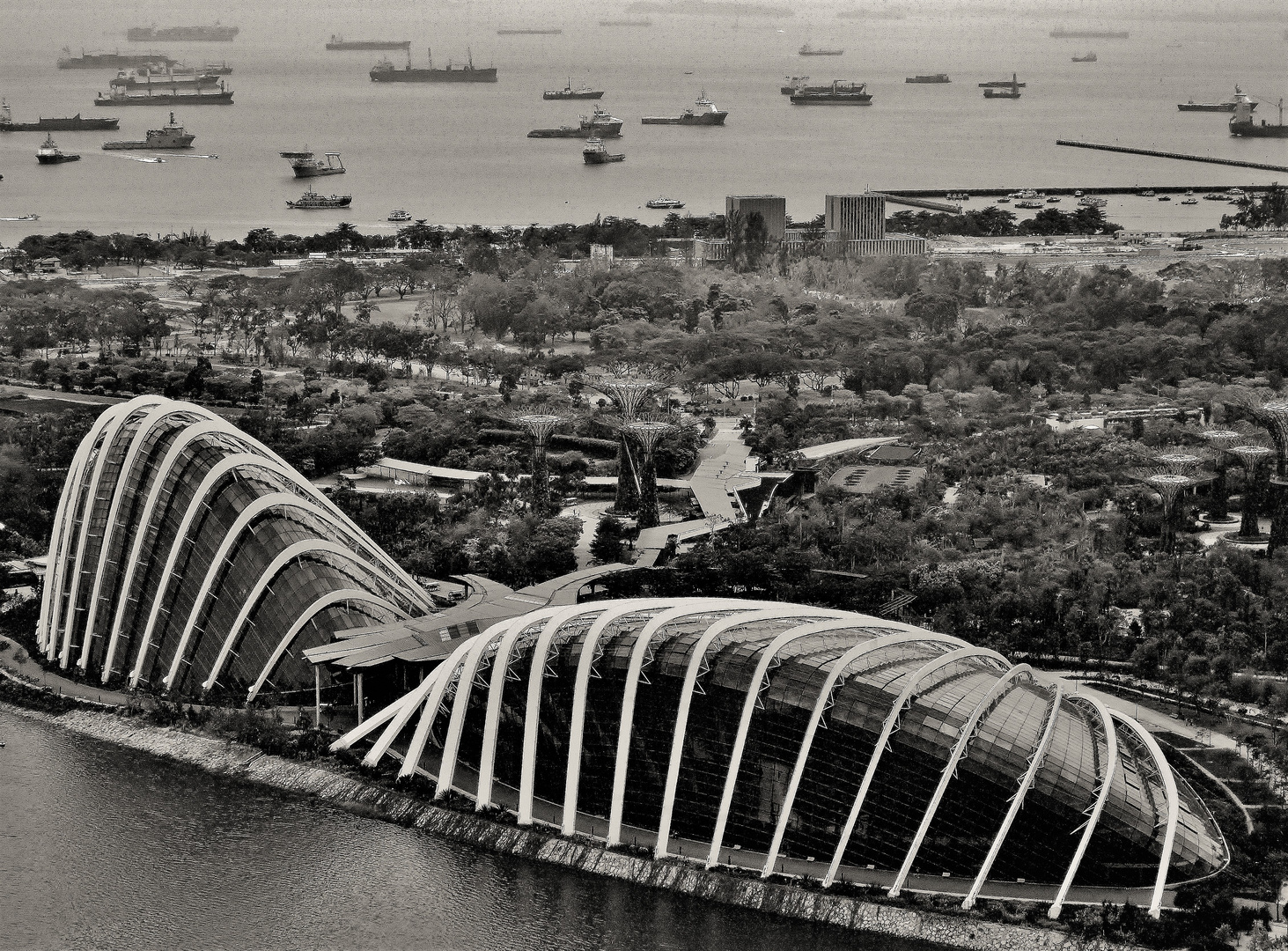 Gardens by the Bay