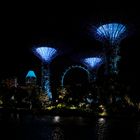 Gardens by the Bay