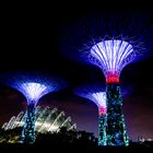 Gardens by the Bay