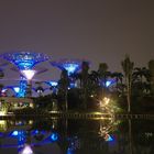 Gardens by the Bay