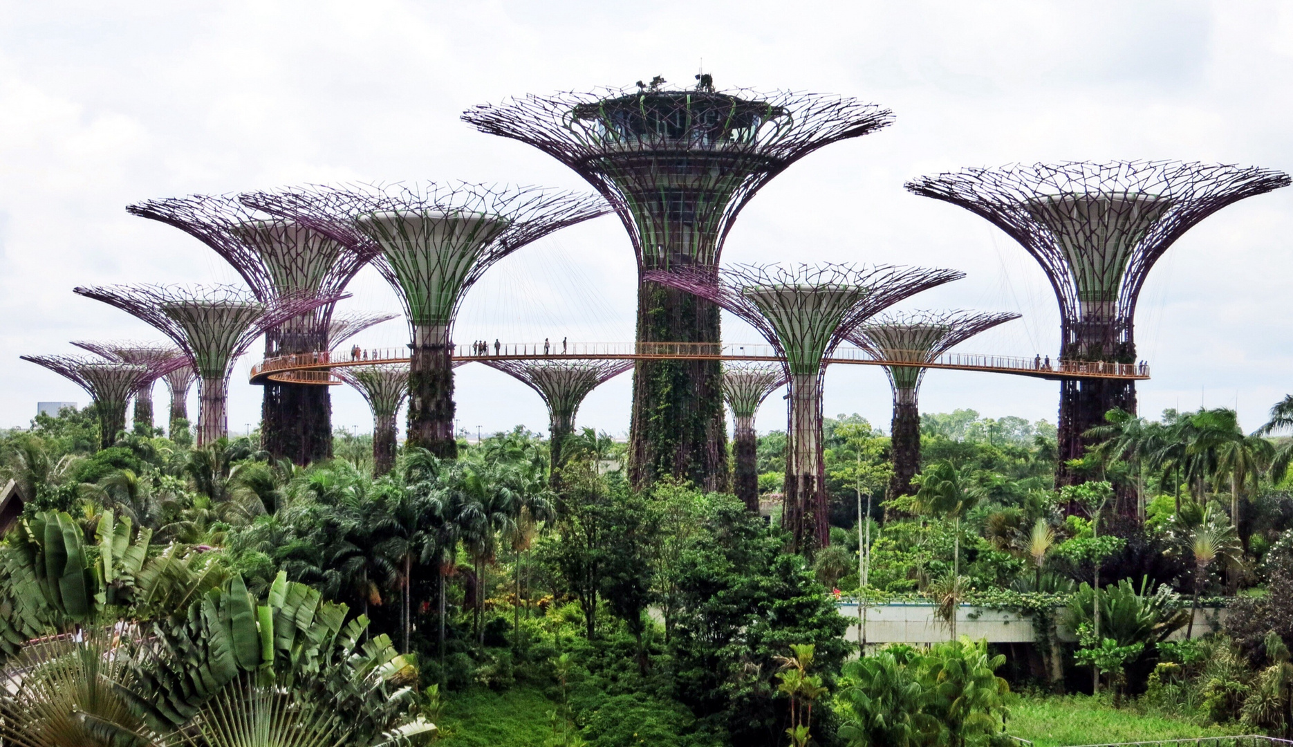 Gardens by the bay