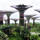 Gardens by the bay