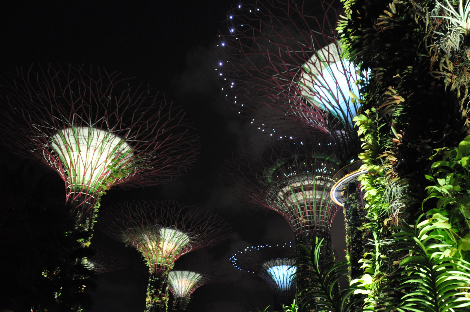 Gardens by the bay