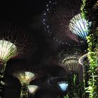 Gardens by the bay