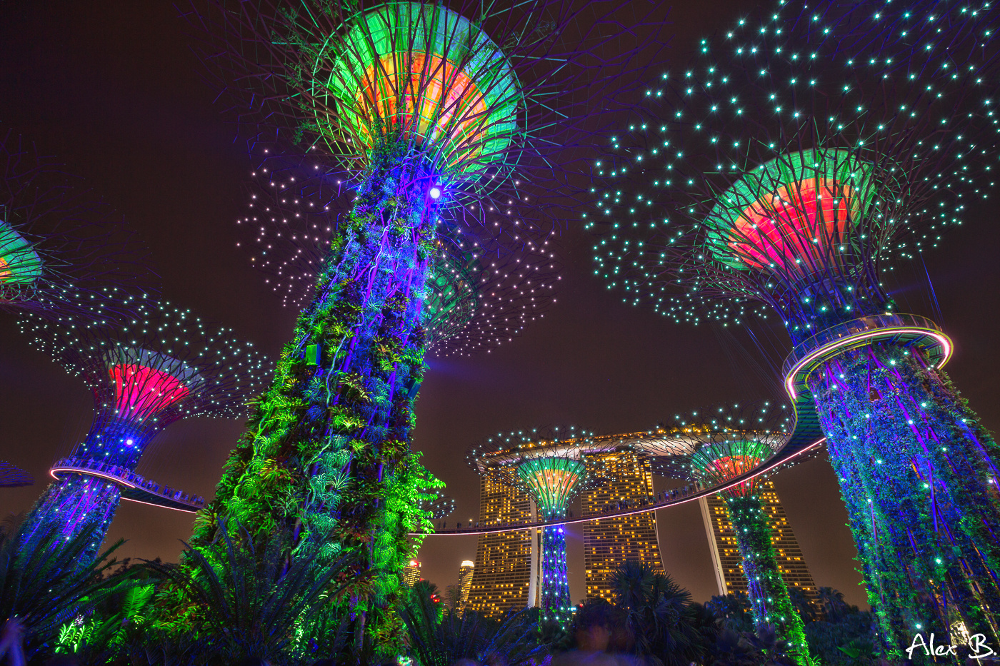 Gardens by the Bay