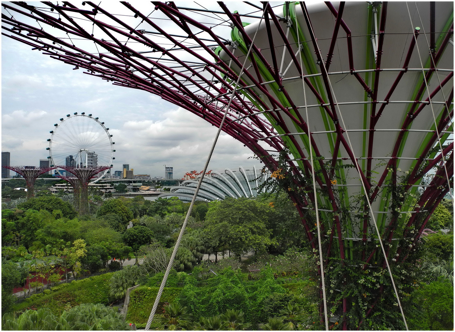 gardens by the bay