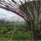 gardens by the bay