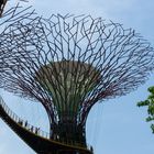 Gardens by the Bay