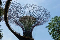 Gardens by the Bay