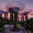 Gardens by the Bay - April 2018