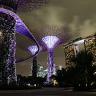 "Gardens by the Bay" bei Nacht