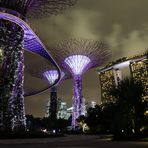 "Gardens by the Bay" bei Nacht