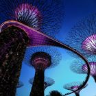 Gardens by the bay ...