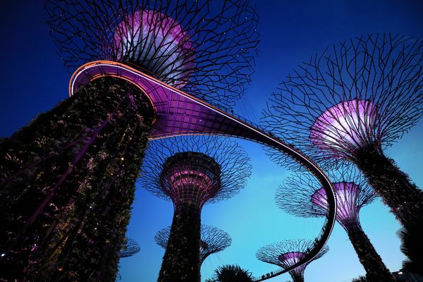 Gardens by the bay ...