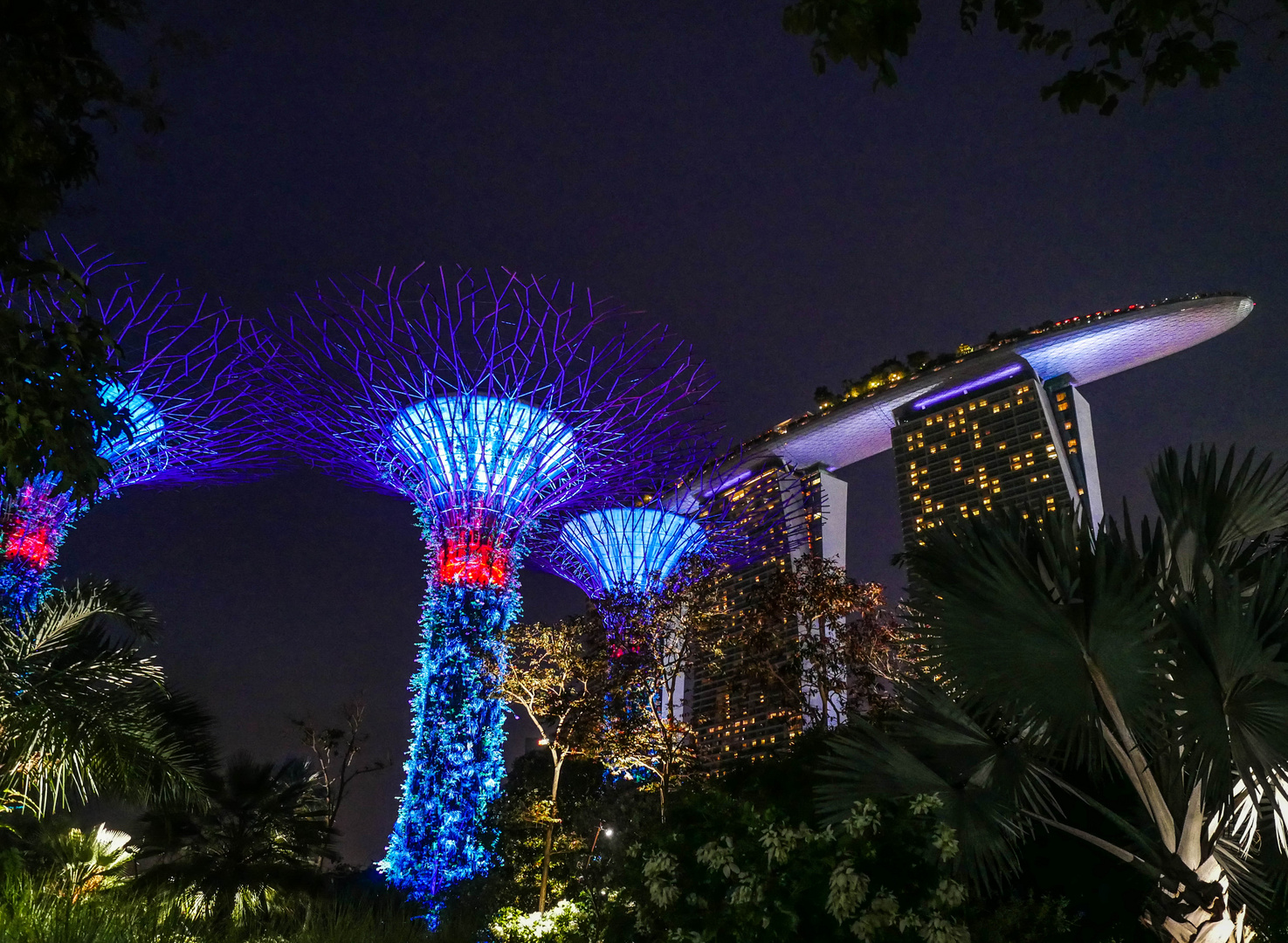 Gardens by the bay