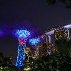 Gardens by the bay