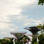 Gardens by the Bay