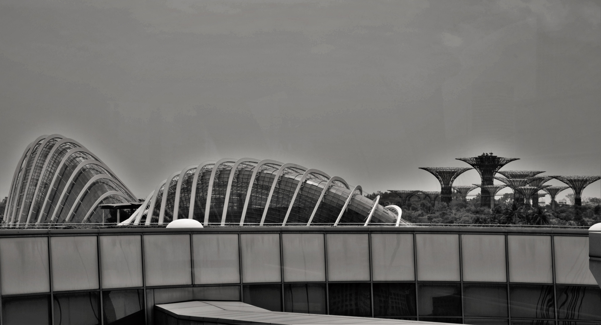 Gardens by the Bay detail