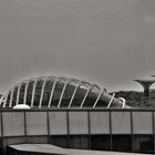 Gardens by the Bay detail